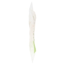 5 Piatti Grandi Compostabili Green Oasis